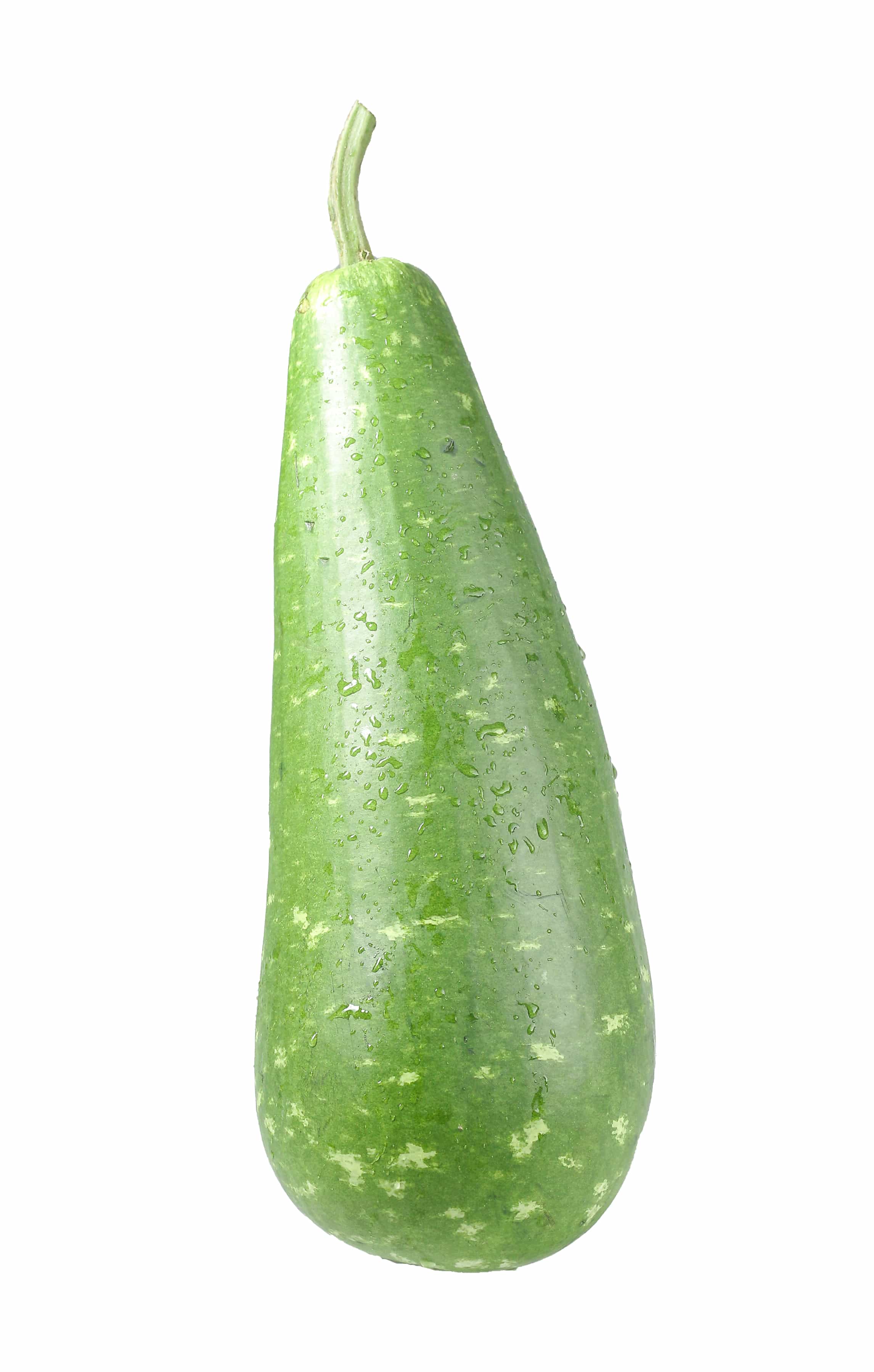 Bottle Gourd